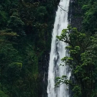 Arusha
