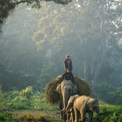 Chitwan