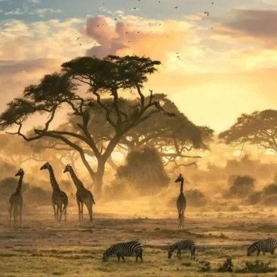 Kruger