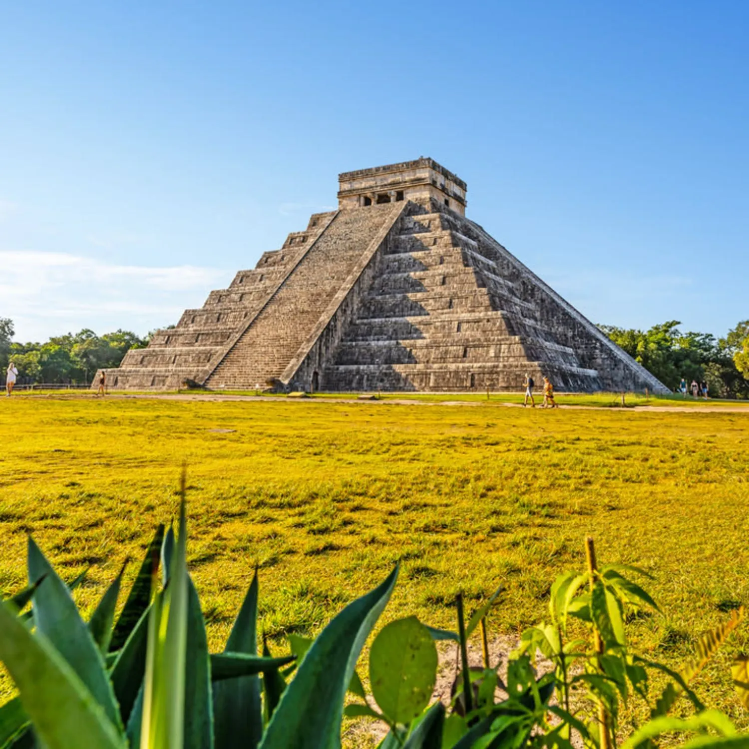 Mexico City Sightseeing Tour