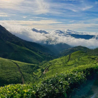 Ooty