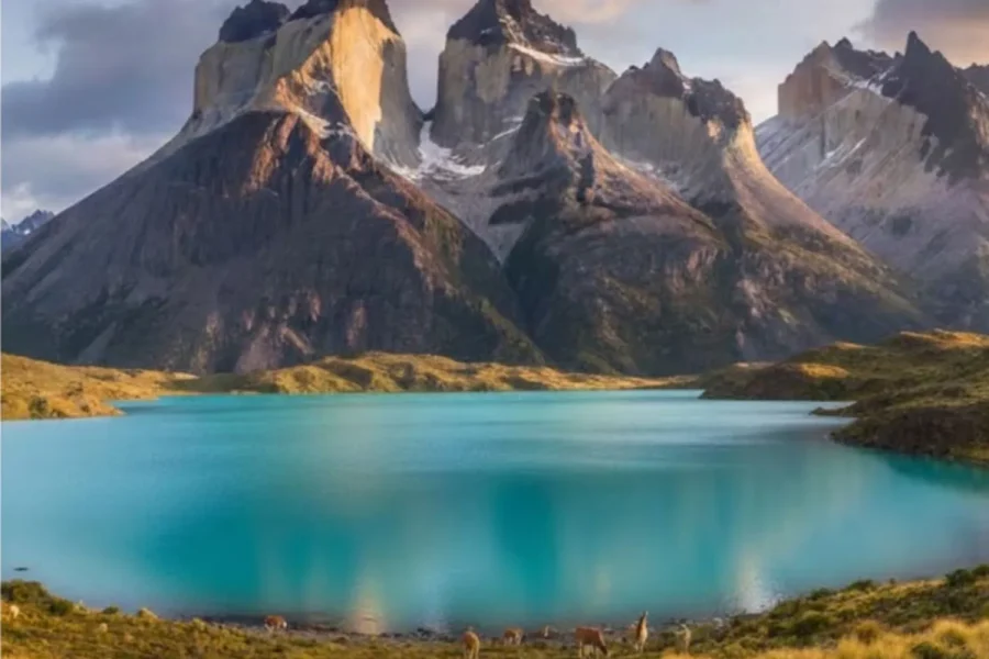 Patagonia