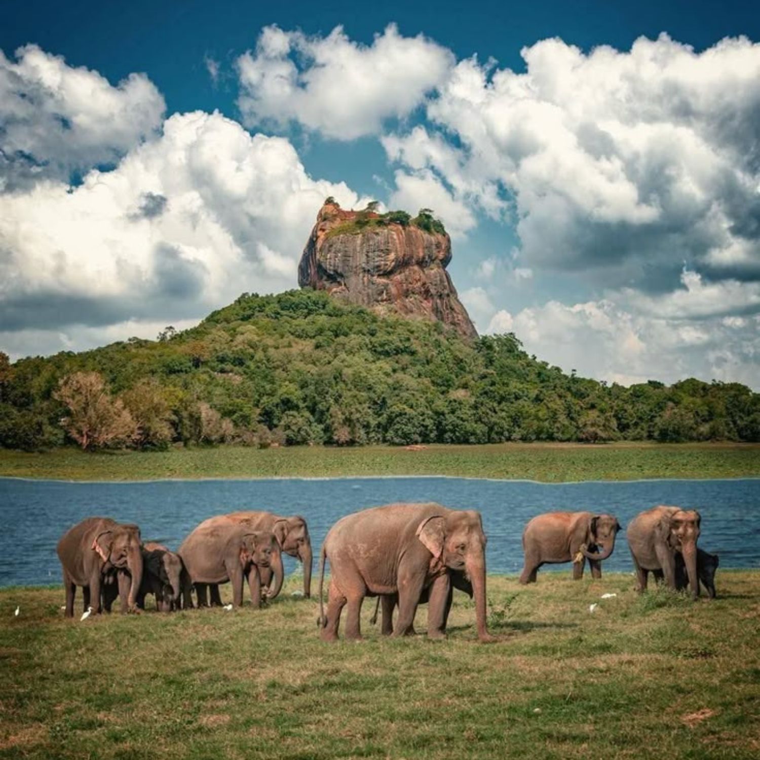 Sri Lanka