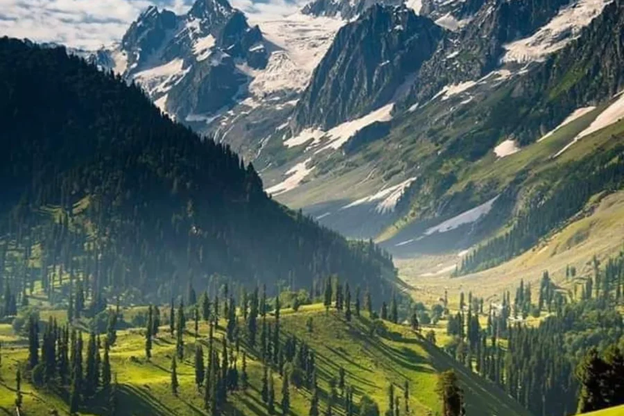 Kashmir