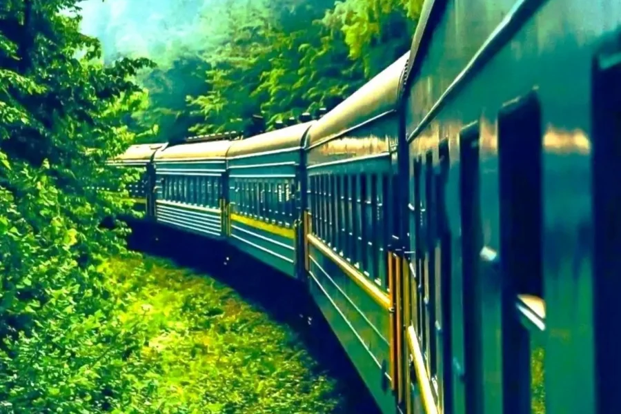 Nilgiri hills