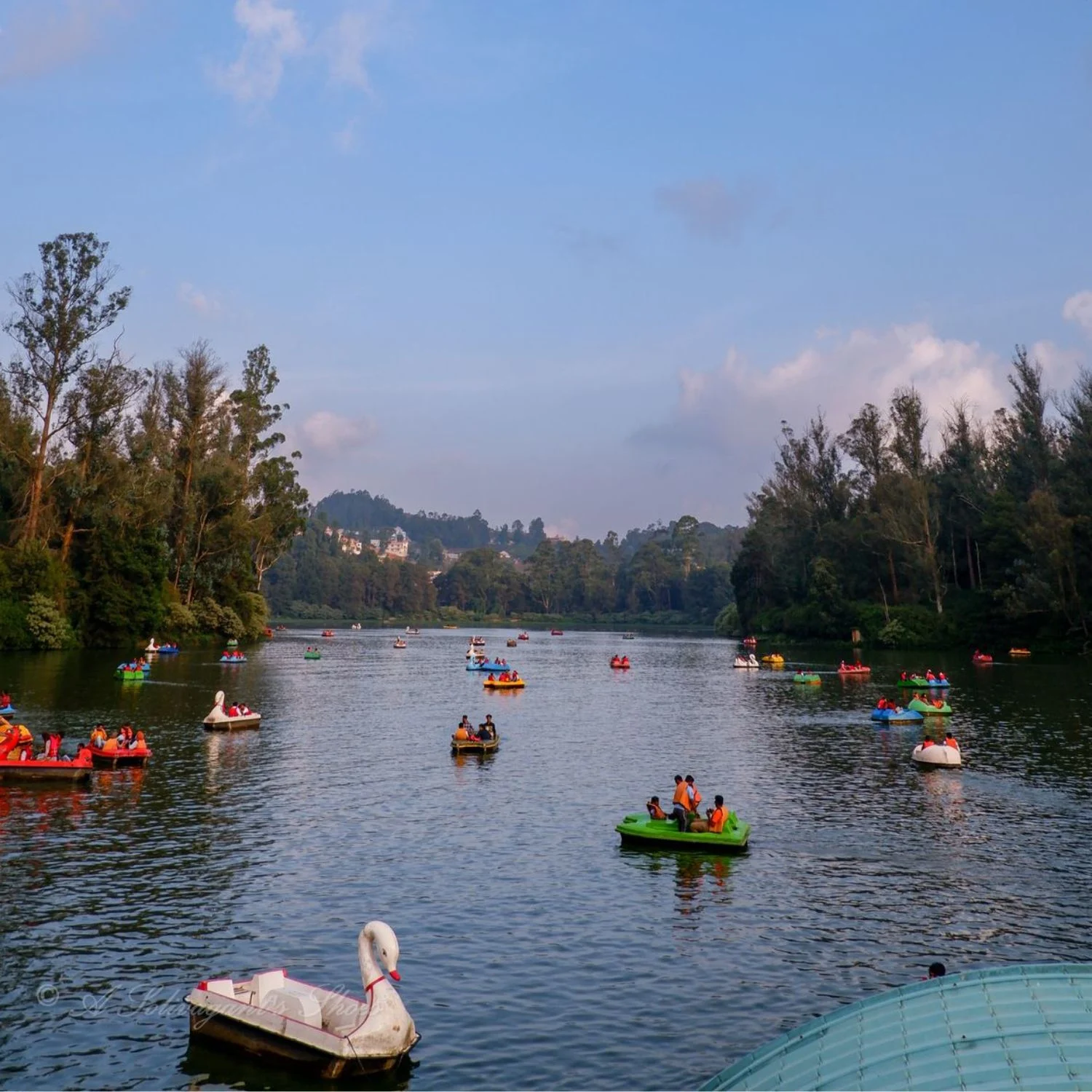 Ooty Sightseeing – Lake, Garden & Peak