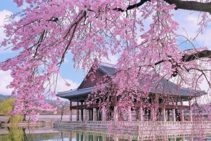 South Korea